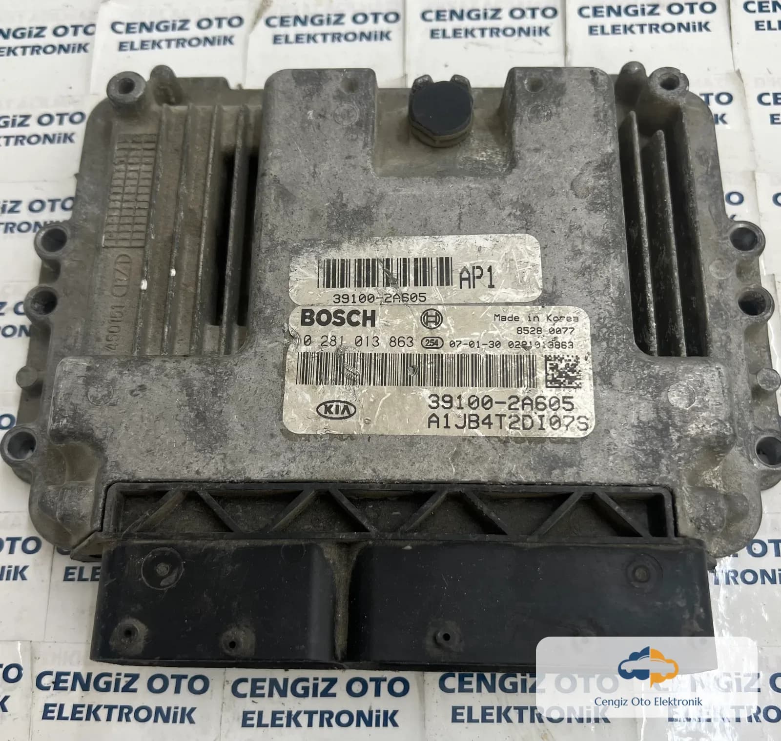 0281013863 - Hyundai Motor Beyini